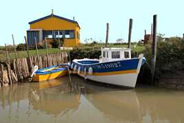 Harmonie des couleurs