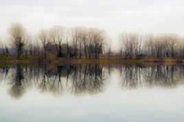 Reflets de gris