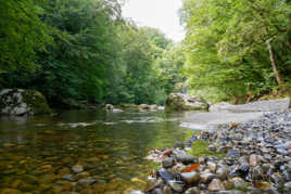 Le Chéran rivière sauvage