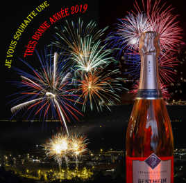 Montage réalisée avec mes photos pour la nouvelle année