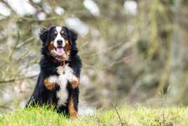 Charlotte bientôt 3 ans