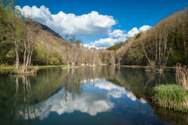 Lac du Môle