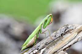 Prière de ne pas déranger !