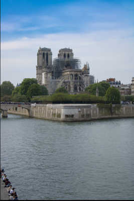 notre dame