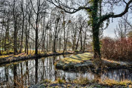 En épingle à cheveux