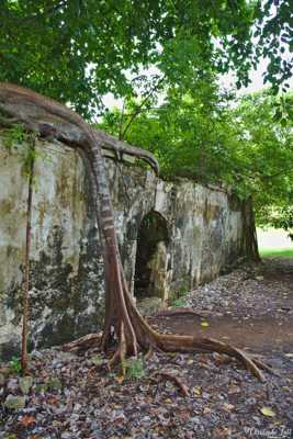 Ancienne prison à Petit Canal nr.2