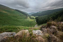 Wicklow mountain