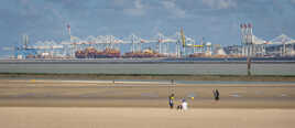 Face au Havre
