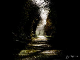 Au bout du chemin...