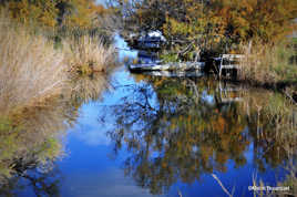 Agouille menant à l'étang