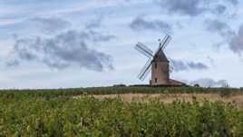 Cru Moulin à vent