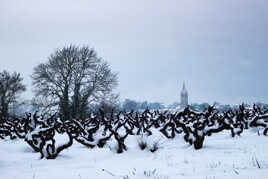 L'hiver en Beaujolais