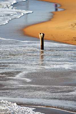 Seul au milieu des vagues