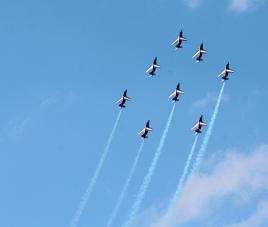Paf en plein vol au Vigeant