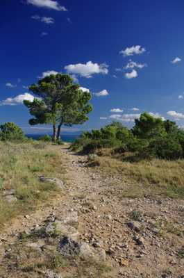 Sentier vers la falaise