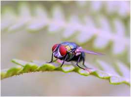 T'as les yeux rouges ..