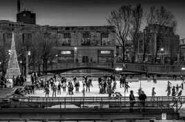 La patinoire