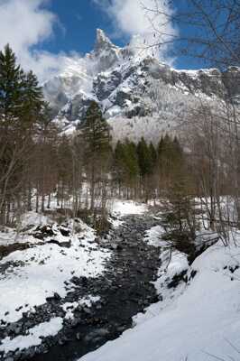 les cornes du Chamois