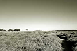 Paysage de bord de mer