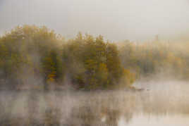 Brume sur le lac