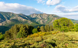 Fin d'après-midi .....