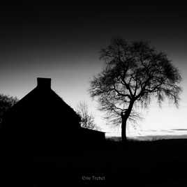 L'arbre et sa maison