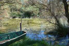 2 - Paysage de Camargue