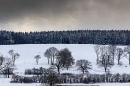 L'ardennes  sous la neige
