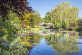 Jardin de Monet