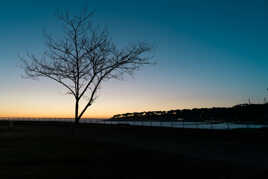 Nouveau jour en hiver