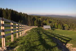 Ombres du petit matin