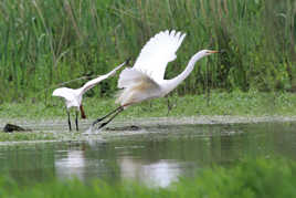 décollage en douceur