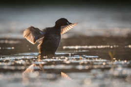 étirements matinaux