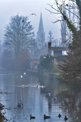Scène rurale matinale