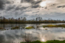 Bords de Loire