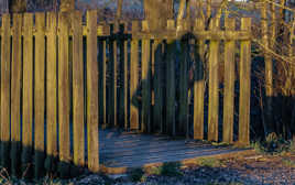 le petit pont de bois