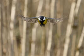 Les yeux dans les yeux