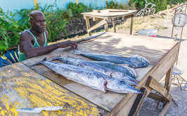 Pêcheur méfiant...