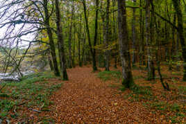 Promenade le long de la Vézère