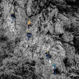 Les fourmis humaines