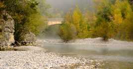 Les pieds dans l'eau.
