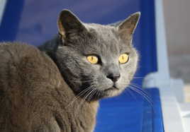 Une rencontre estivale