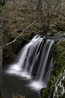 La chute