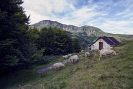 Estive à Larrau