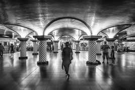 Walk on the wild side