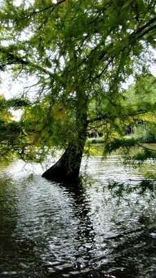 Les pieds dans l'eau