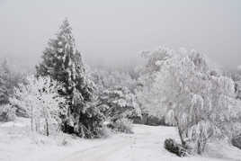 Les environs de Queyrières (1)