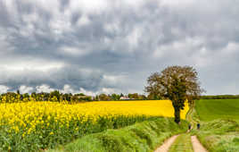 Balade dans la nature