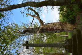 une supplique au ciel