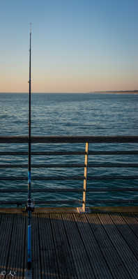 Une petite partie de pèche ?
